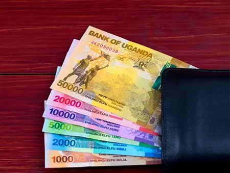 Certified Credit Management