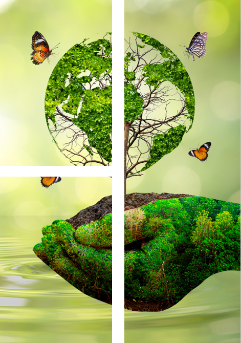 ESG FOR BOARD AND MANAGEMENT 